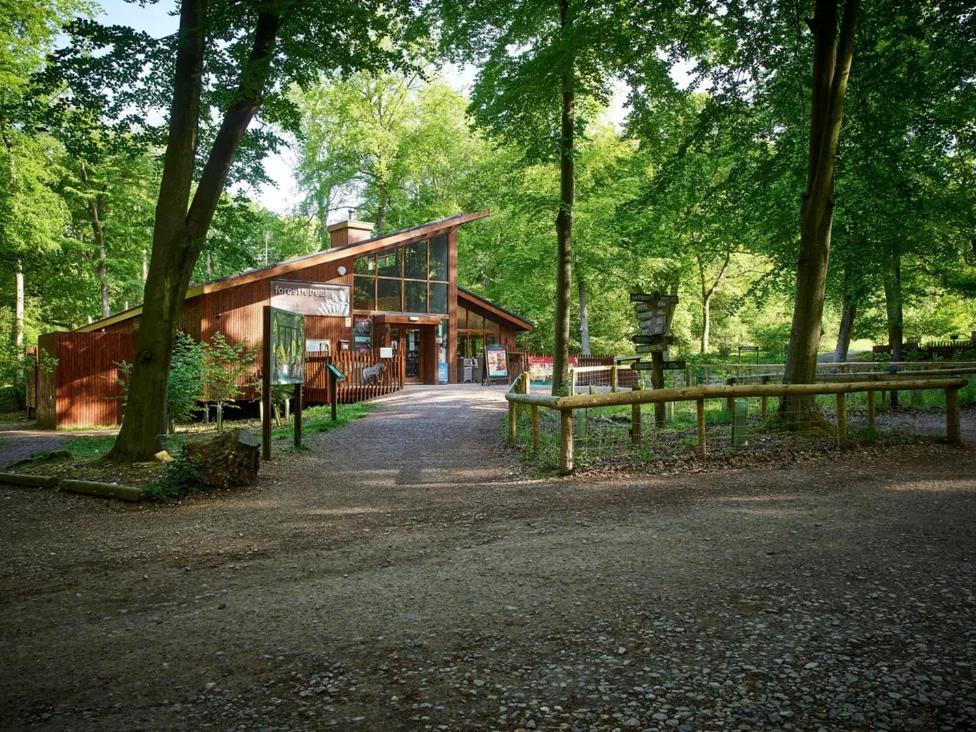 Blackwood Forest Cabins - Forest Holidays Popham Exterior photo