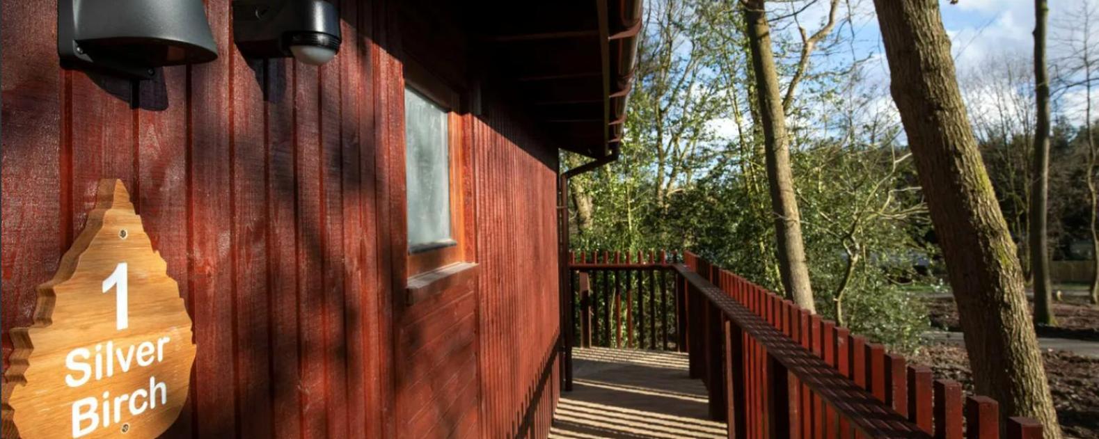 Blackwood Forest Cabins - Forest Holidays Popham Exterior photo